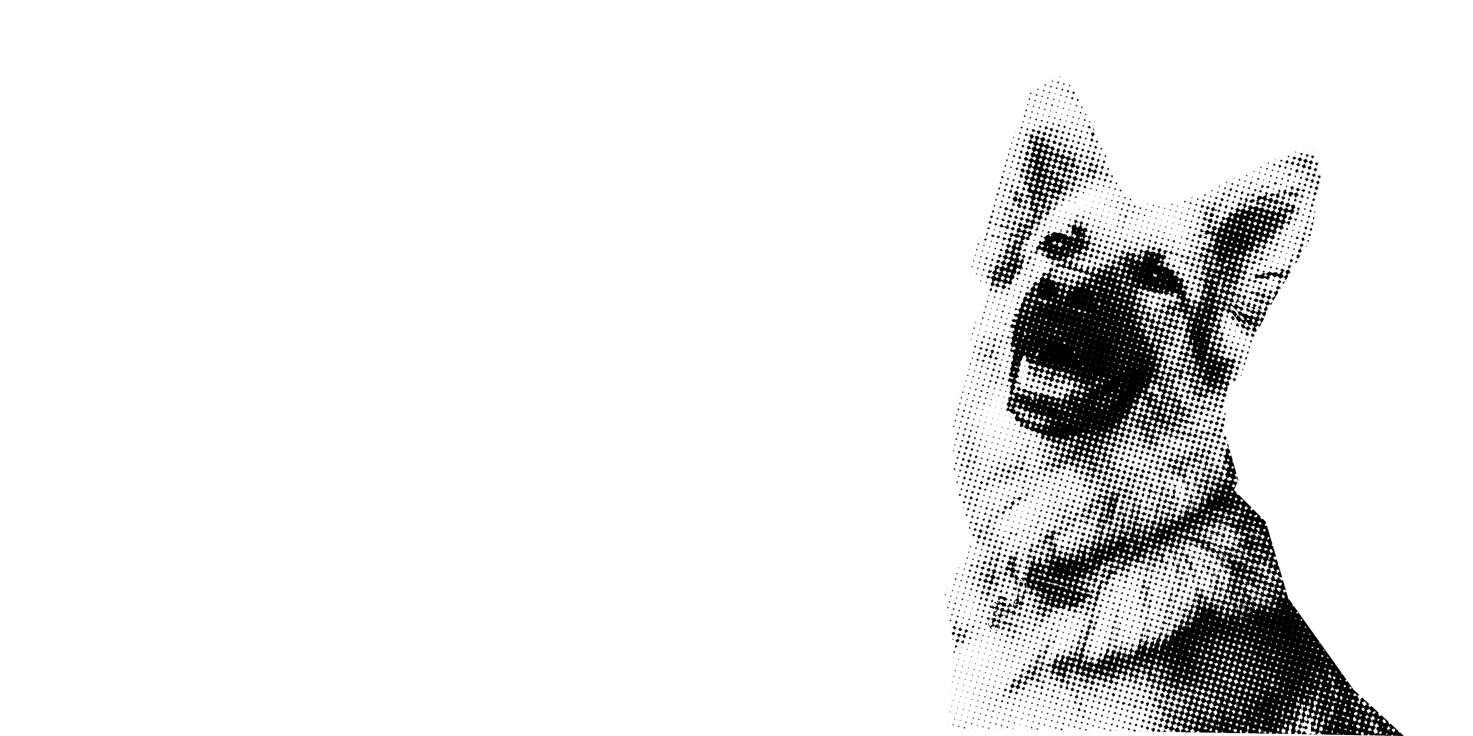 Perro masticando