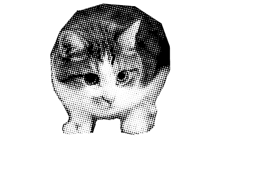Gato al asecho