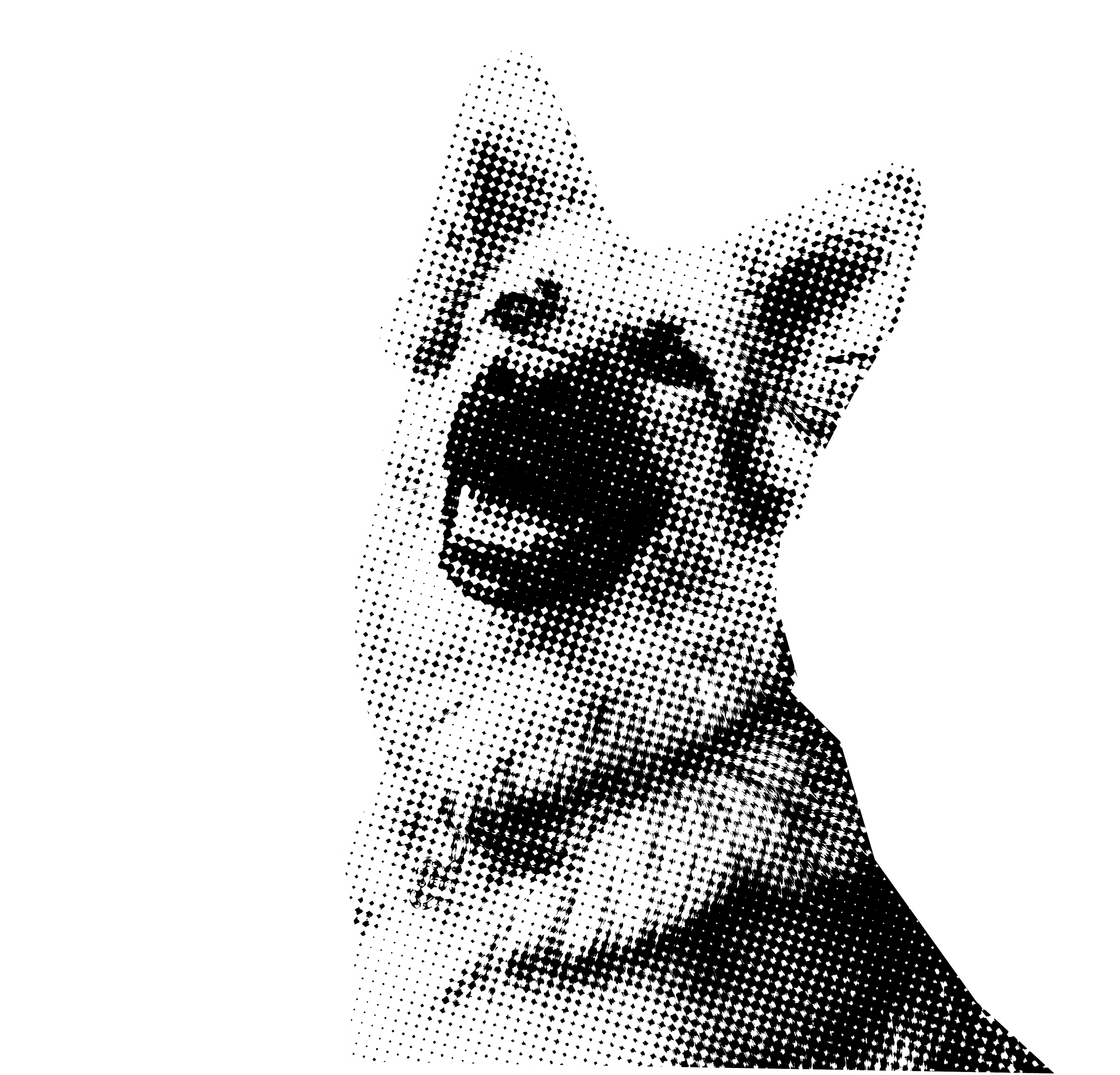 Perro masticando